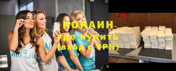 твердый Алзамай