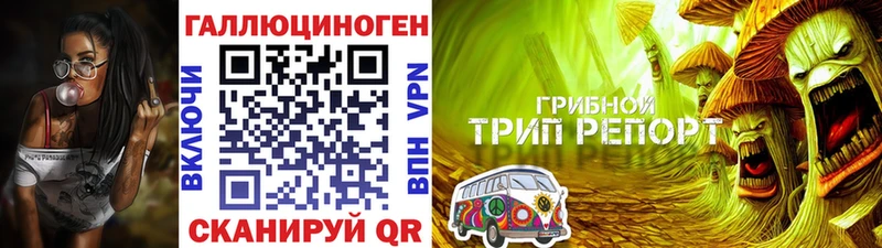 Купить Кола Галлюциногенные грибы ЛСД