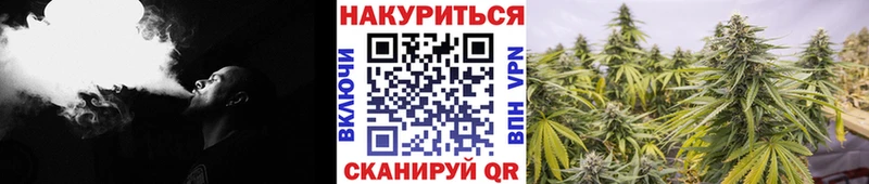 Купить закладки  Кола  Конопля планчик 
